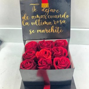 propuesta de amor (copia)